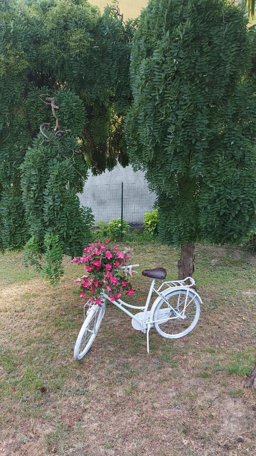 ホテル Casa Dell'Agrifoglio Caselette エクステリア 写真