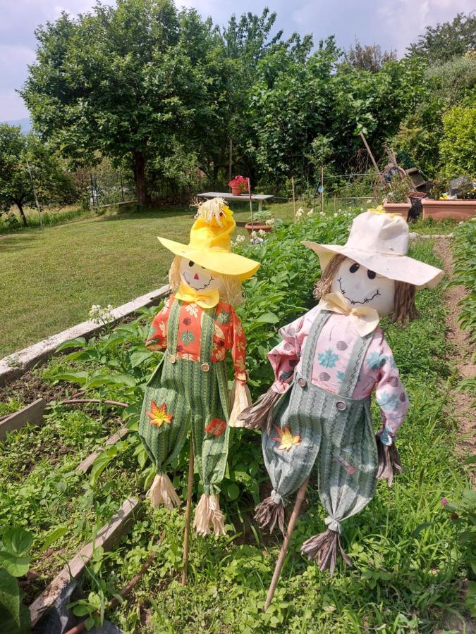 ホテル Casa Dell'Agrifoglio Caselette エクステリア 写真